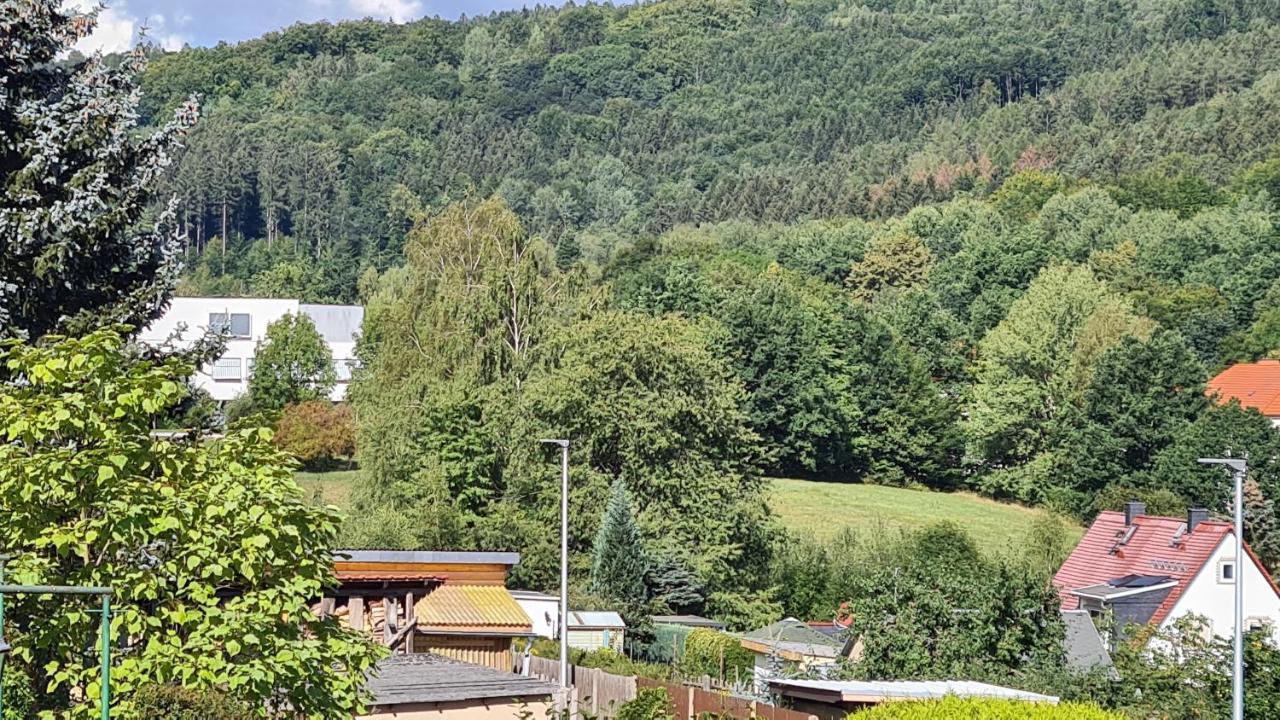 Ferienhaus Marx Sebnitz Dış mekan fotoğraf